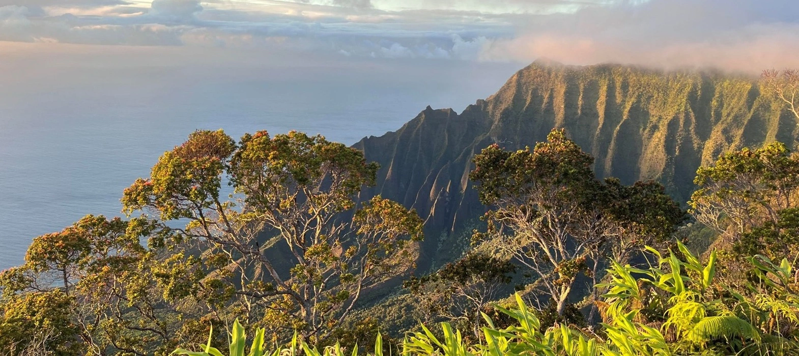 A mountain overlook on the island of Kauaʻi